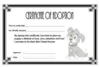 Amazing Cat Birth Certificate Free Printable