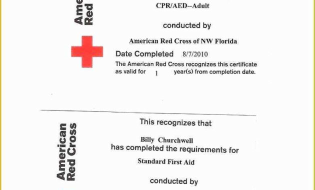 Awesome First Aid Certificate Template Top 7 Ideas Free