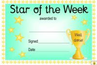 Awesome Star Performer Certificate Templates