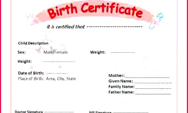 Best Amazing Teddy Bear Birth Certificate Templates Free