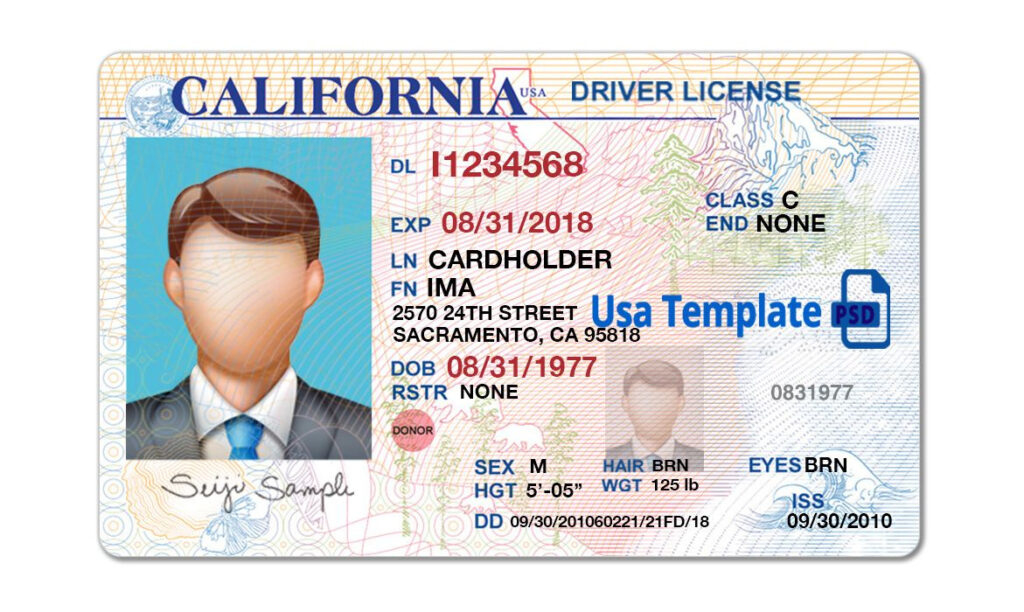 Best Blank Drivers License Template