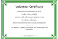 Best Volunteer Certificate Template