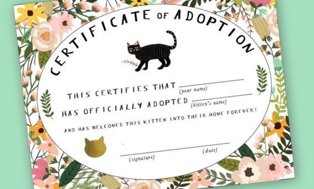 Fantastic Unicorn Adoption Certificate Free Printable 7 Ideas