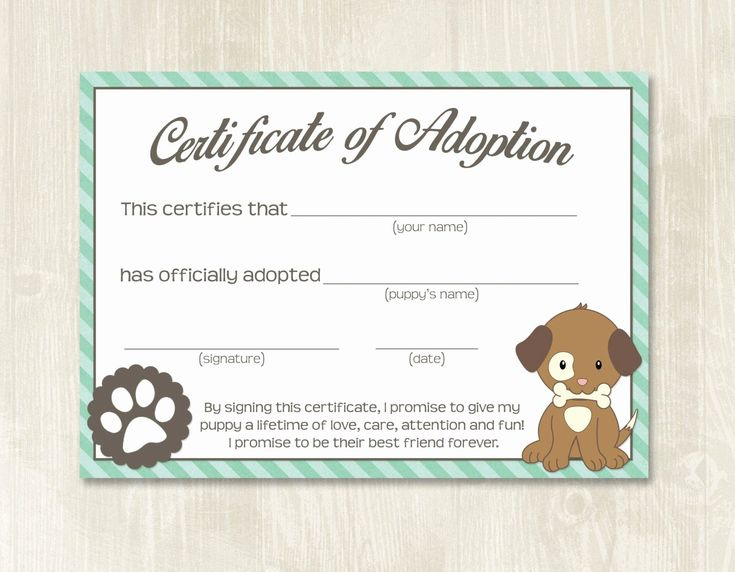 Fascinating Dog Adoption Certificate Free Printable 7 Ideas