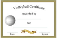 Fascinating Player Of The Day Certificate Template Free