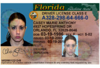 Professional Blank Drivers License Template