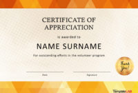Professional Certificate Of Appreciation Template Doc