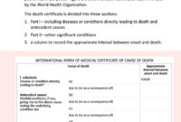 Professional Fake Death Certificate Template