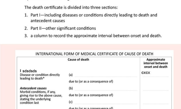 Professional Fake Death Certificate Template