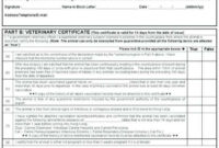 Professional Veterinary Health Certificate Template