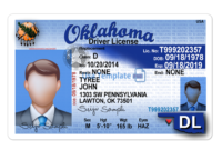 Simple Blank Drivers License Template