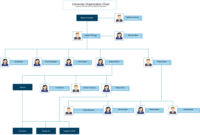 Amazing Management Organizational Chart Template