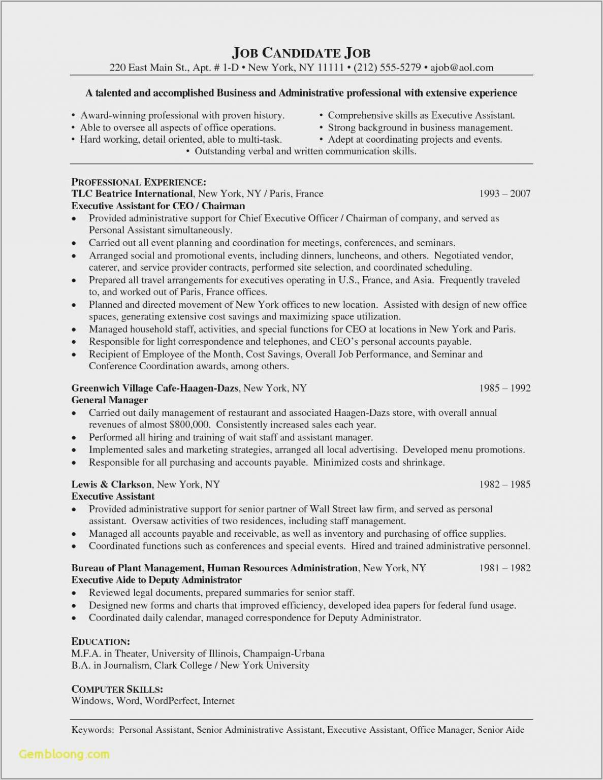 Awesome Resume Template For Senior Management