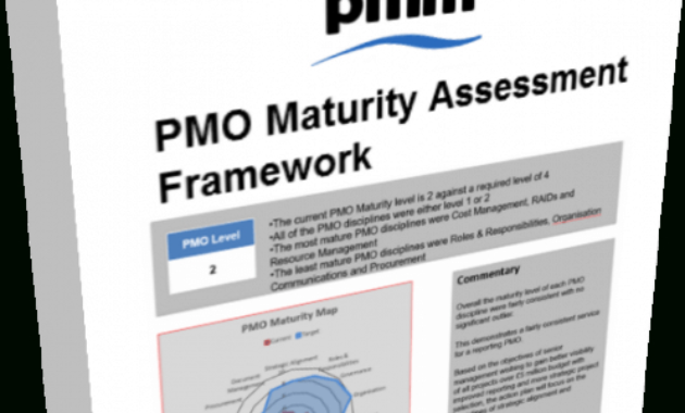 New Project Management Maturity Assessment Template