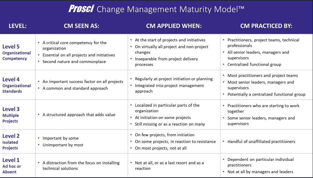 New Project Management Maturity Assessment Template