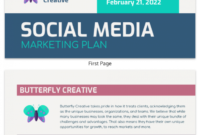Professional Social Media Management Proposal Template