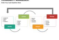 Professional Vulnerability Management Policy Template