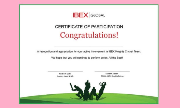 Amazing Sample Certificate Of Participation Template