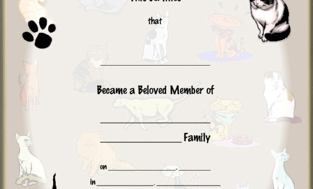 Awesome Cat Adoption Certificate Templates