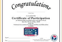 Awesome Certificate Of Participation Template Doc 10 Ideas