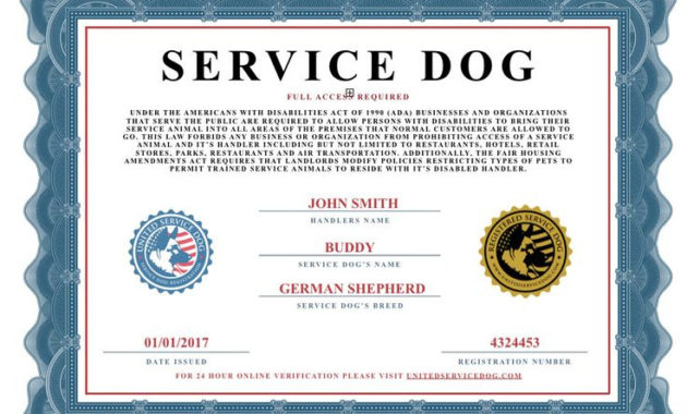 Awesome Dog Training Certificate Template