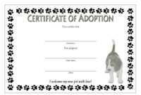 Awesome Stuffed Animal Adoption Certificate Template Free