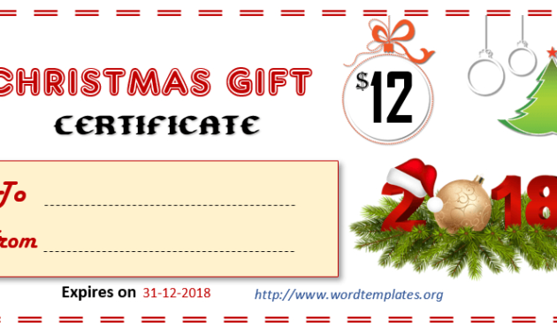 Best Christmas Gift Certificate Template Free Download