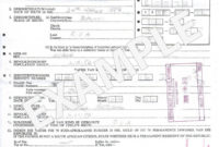 Best South African Birth Certificate Template
