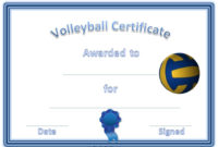 Best Volleyball Tournament Certificate