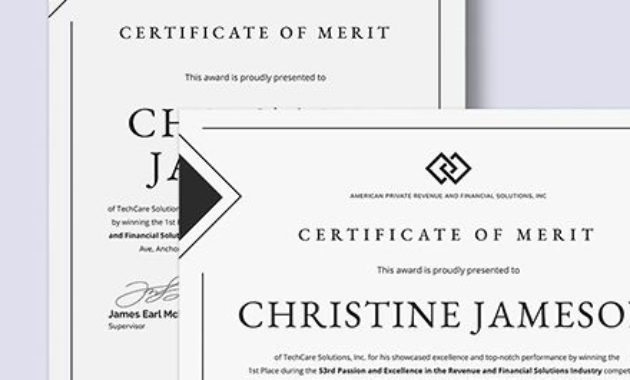 Fantastic Certificate Of Merit Templates Editable