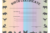 Fantastic Rabbit Adoption Certificate Template 6 Ideas Free