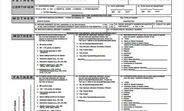 Fascinating Baby Death Certificate Template