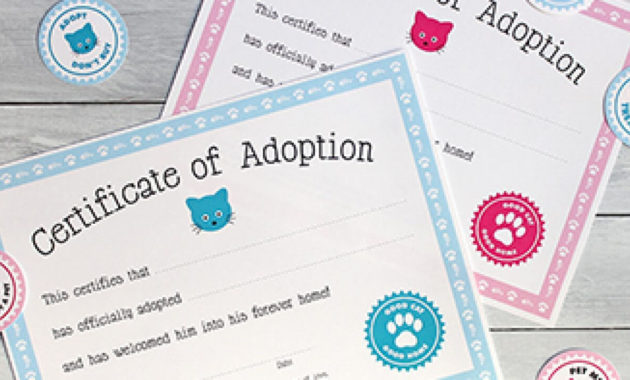 Fascinating Cat Birth Certificate Free Printable