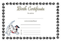 Fascinating Stuffed Animal Birth Certificate Template 7 Ideas