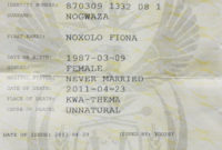 Free South African Birth Certificate Template