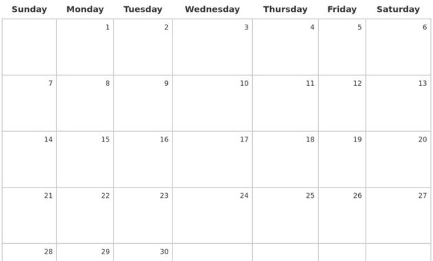 Professional Blank Activity Calendar Template