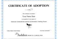 Professional Blank Adoption Certificate Template