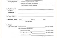 Professional Blank Pay Stubs Template
