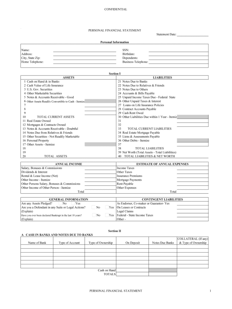 Professional Blank Personal Financial Statement Template