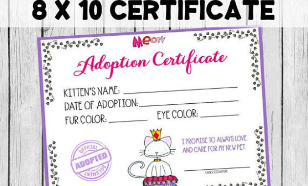Professional Cat Birth Certificate Free Printable