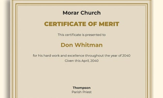 Professional Certificate Of Merit Templates Editable