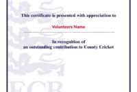 Professional Outstanding Volunteer Certificate Template
