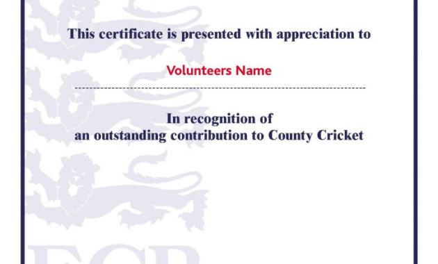 Professional Outstanding Volunteer Certificate Template