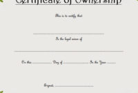 Professional Ownership Certificate Template