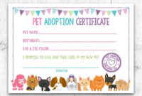 Simple Cat Adoption Certificate Template 9 Designs