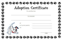 Simple Cat Adoption Certificate Template 9 Designs