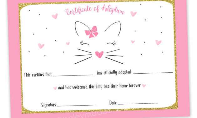 Simple Cat Birth Certificate Free Printable