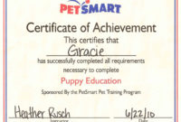Simple Dog Obedience Certificate Templates