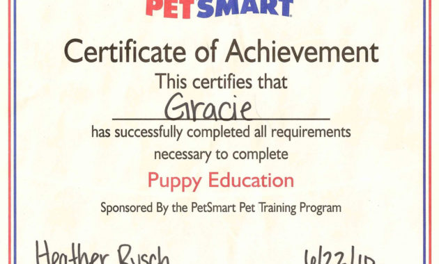 Simple Dog Obedience Certificate Templates