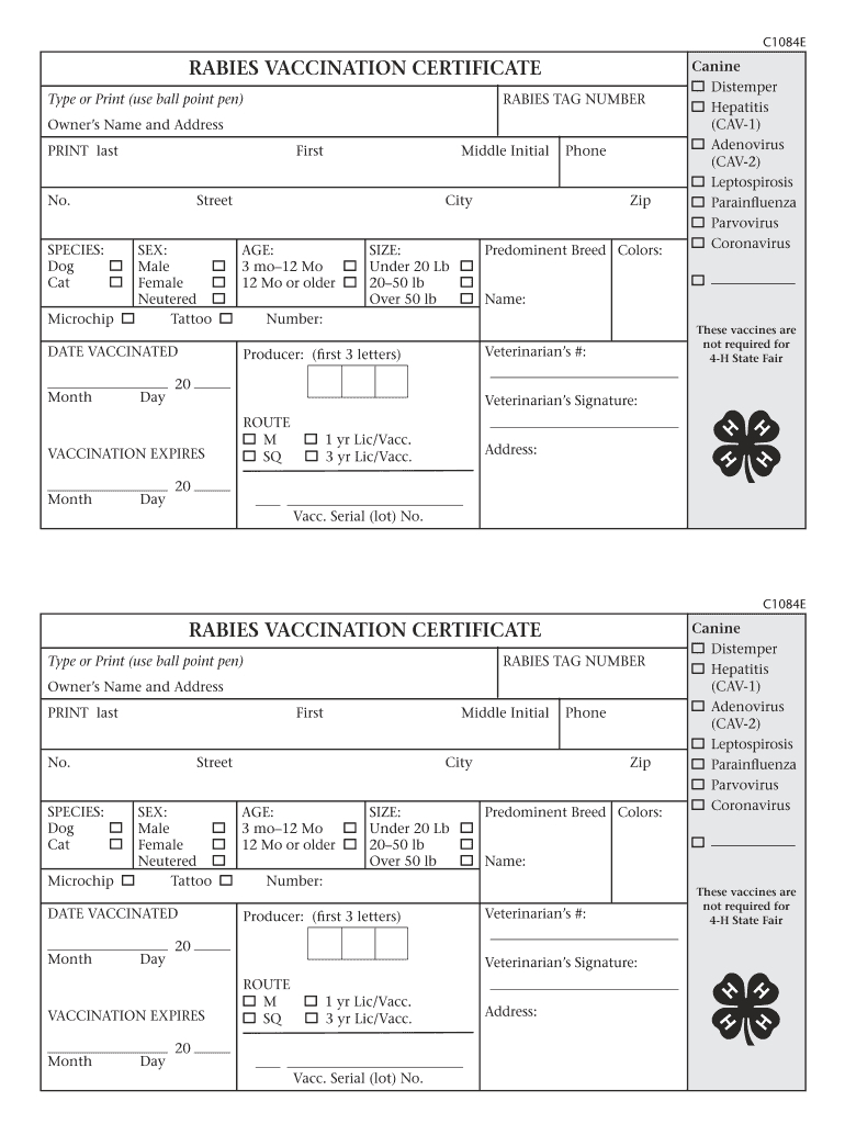 Stunning Dog Vaccination Certificate Template